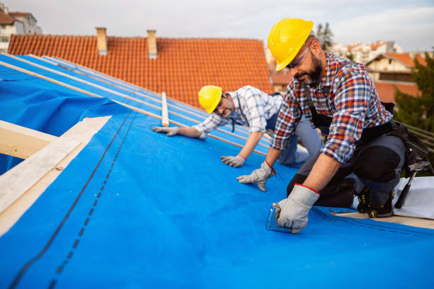 Best Sealant for Roof  in Leonia, NJ